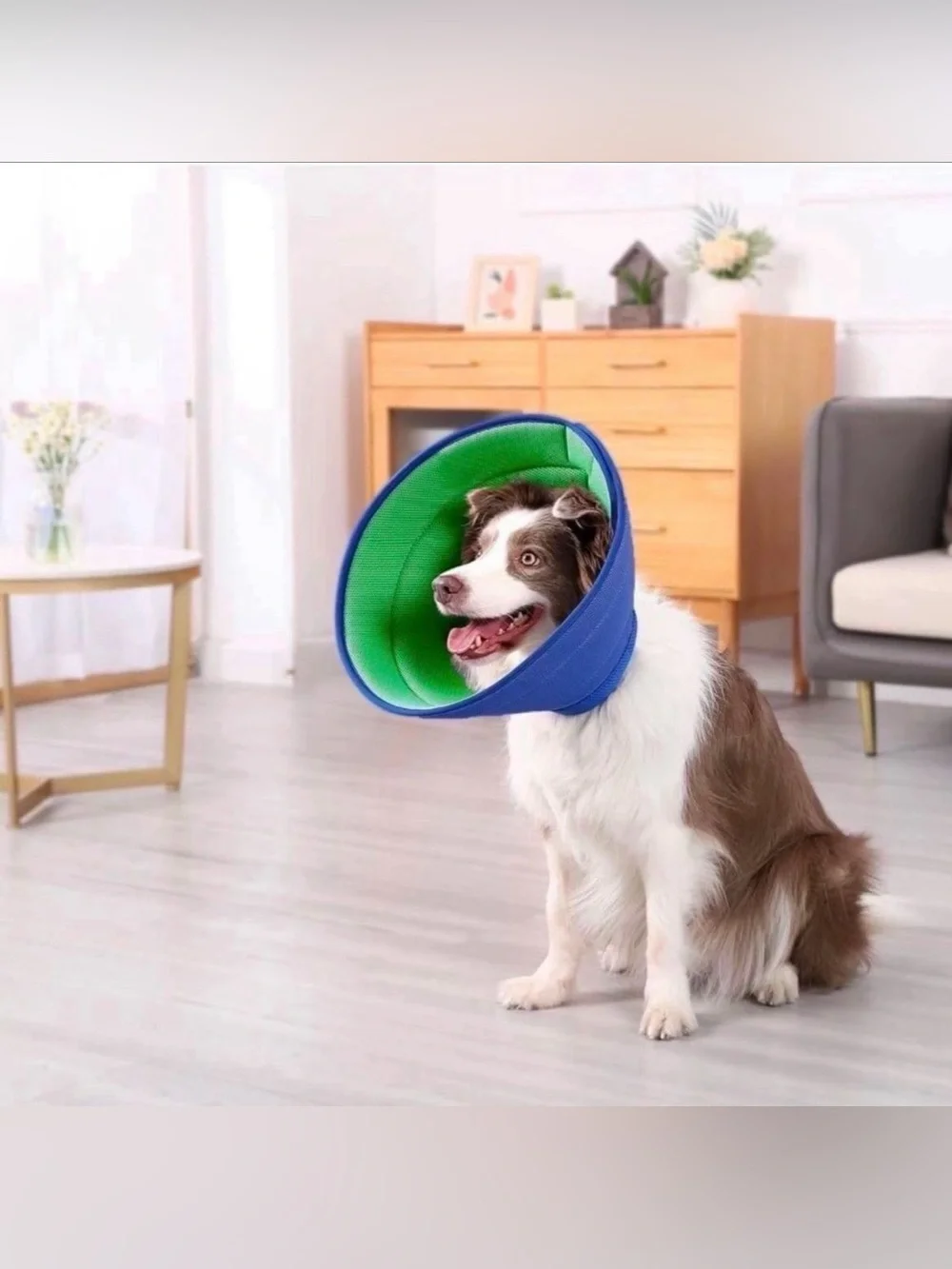 BENCMATE • Extra Soft Dog Cone Alternative After Surgery, Breathable Dog Cones f